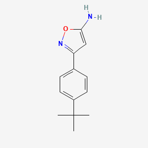 molecular formula C13H16N2O B3284969 3-(4-叔丁基苯基)-1,2-恶唑-5-胺 CAS No. 794566-80-6