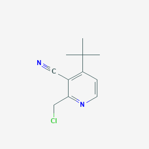 molecular formula C11H13ClN2 B3285995 4-(叔丁基)-2-(氯甲基)烟酸腈 CAS No. 817555-69-4