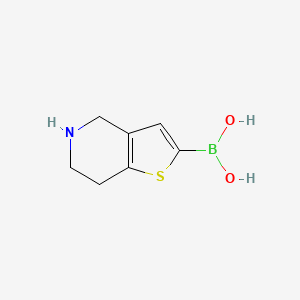 molecular formula C7H10BNO2S B3287029 4,5,6,7-Tetrahydrothieno[3,2-c]pyridin-2-ylboronic acid CAS No. 83611-96-5
