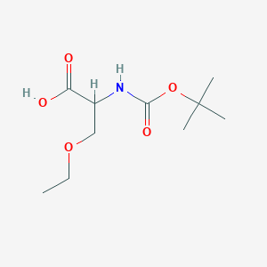 molecular formula C10H19NO5 B3289226 2-{[(Tert-butoxy)carbonyl]amino}-3-ethoxypropanoic acid CAS No. 856417-66-8