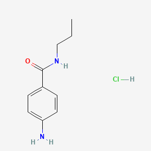 molecular formula C10H15ClN2O B3289380 4-amino-N-propylbenzamide hydrochloride CAS No. 857583-50-7