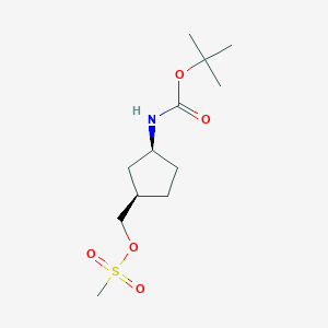 B3290006 Carbamic acid, N-[(1S,3R)-3-[[(methylsulfonyl)oxy]methyl]cyclopentyl]-, 1,1-dimethylethyl ester CAS No. 862700-30-9