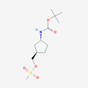 molecular formula C12H23NO5S B3293078 Carbamic acid, [(1r,3r)-3-[[(methylsulfonyl)oxy]methyl]cyclopentyl]-, 1,1-dimethylethyl ester (9ci) CAS No. 884006-55-7