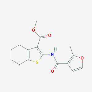 molecular formula C16H17NO4S B329399 Methyl 2-[(2-methyl-3-furoyl)amino]-4,5,6,7-tetrahydro-1-benzothiophene-3-carboxylate 