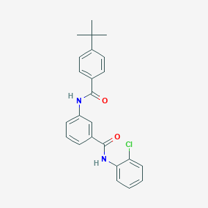 molecular formula C24H23ClN2O2 B329712 3-[(4-tert-butylbenzoyl)amino]-N-(2-chlorophenyl)benzamide 