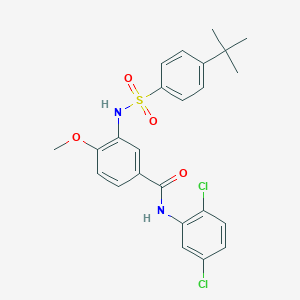 molecular formula C24H24Cl2N2O4S B329853 3-{[(4-tert-butylphenyl)sulfonyl]amino}-N-(2,5-dichlorophenyl)-4-methoxybenzamide 