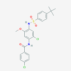 molecular formula C24H24Cl2N2O4S B329871 N-(4-{[(4-tert-butylphenyl)sulfonyl]amino}-2-chloro-5-methoxyphenyl)-4-chlorobenzamide 