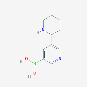 molecular formula C10H15BN2O2 B3299215 5-(Piperidin-2-yl)pyridin-3-ylboronicacidhydrochloride CAS No. 899436-84-1