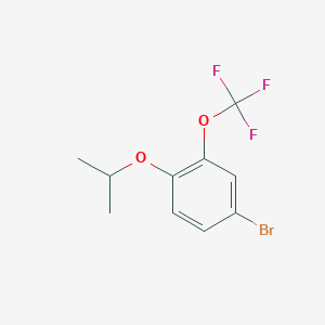 molecular formula C10H10BrF3O2 B3300547 4-Bromo-1-isopropoxy-2-trifluoromethoxybenzene CAS No. 902757-20-4