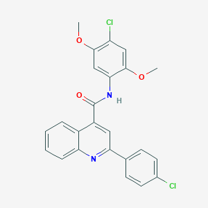 molecular formula C24H18Cl2N2O3 B330086 N-(4-chloro-2,5-dimethoxyphenyl)-2-(4-chlorophenyl)quinoline-4-carboxamide 