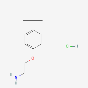 molecular formula C12H20ClNO B3301336 1-(2-氨基乙氧基)-4-叔丁基苯盐酸盐 CAS No. 908596-56-5
