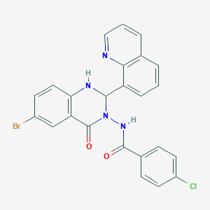 molecular formula C24H16BrClN4O2 B330339 N-(6-bromo-4-oxo-2-(8-quinolinyl)-1,4-dihydro-3(2H)-quinazolinyl)-4-chlorobenzamide 