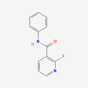 molecular formula C12H9FN2O B3303541 2-Fluoro-N-phenylpyridine-3-carboxamide CAS No. 920986-88-5