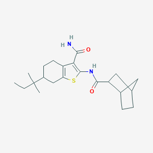 2-[(Bicyclo[2.2.1]hept-2-ylcarbonyl)amino]-6-tert-pentyl-4,5,6,7-tetrahydro-1-benzothiophene-3-carboxamide