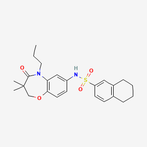 molecular formula C24H30N2O4S B3304962 N-(3,3-dimethyl-4-oxo-5-propyl-2,3,4,5-tetrahydro-1,5-benzoxazepin-7-yl)-5,6,7,8-tetrahydronaphthalene-2-sulfonamide CAS No. 922056-79-9