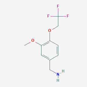 molecular formula C10H12F3NO2 B3306153 [3-甲氧基-4-(2,2,2-三氟乙氧基)苯基]甲胺 CAS No. 926224-98-8