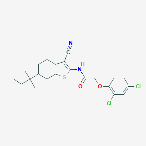molecular formula C22H24Cl2N2O2S B330633 N-[3-cyano-6-(2-methylbutan-2-yl)-4,5,6,7-tetrahydro-1-benzothiophen-2-yl]-2-(2,4-dichlorophenoxy)acetamide 