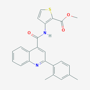 molecular formula C24H20N2O3S B330637 Methyl 3-({[2-(2,4-dimethylphenyl)-4-quinolinyl]carbonyl}amino)-2-thiophenecarboxylate 