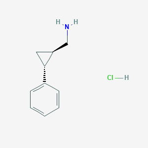 molecular formula C10H14ClN B3306563 [(1R,2R)-2-phenylcyclopropyl]methanamine hydrochloride CAS No. 928054-32-4