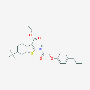 molecular formula C26H35NO4S B330920 Ethyl 6-tert-butyl-2-{[(4-propylphenoxy)acetyl]amino}-4,5,6,7-tetrahydro-1-benzothiophene-3-carboxylate 