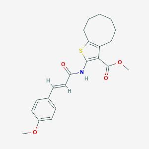 molecular formula C22H25NO4S B331091 Methyl 2-{[3-(4-methoxyphenyl)acryloyl]amino}-4,5,6,7,8,9-hexahydrocycloocta[b]thiophene-3-carboxylate 