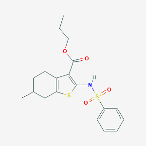 molecular formula C19H23NO4S2 B331175 Propyl 6-methyl-2-[(phenylsulfonyl)amino]-4,5,6,7-tetrahydro-1-benzothiophene-3-carboxylate 