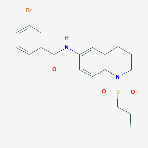 molecular formula C19H21BrN2O3S B3311968 3-bromo-N-(1-(propylsulfonyl)-1,2,3,4-tetrahydroquinolin-6-yl)benzamide CAS No. 946281-90-9