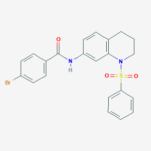molecular formula C22H19BrN2O3S B3312152 4-bromo-N-(1-(phenylsulfonyl)-1,2,3,4-tetrahydroquinolin-7-yl)benzamide CAS No. 946298-40-4