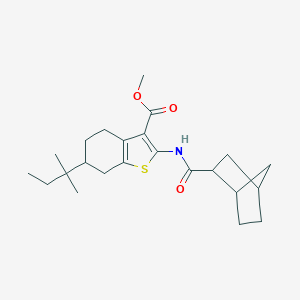 Methyl 2-[(bicyclo[2.2.1]hept-2-ylcarbonyl)amino]-6-tert-pentyl-4,5,6,7-tetrahydro-1-benzothiophene-3-carboxylate