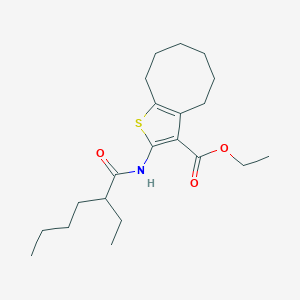 molecular formula C21H33NO3S B331608 Ethyl 2-[(2-ethylhexanoyl)amino]-4,5,6,7,8,9-hexahydrocycloocta[b]thiophene-3-carboxylate 