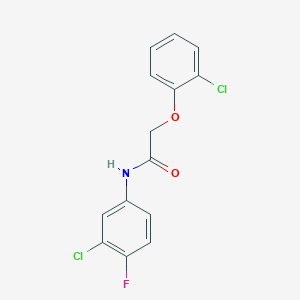 molecular formula C14H10Cl2FNO2 B331615 N-(3-chloro-4-fluorophenyl)-2-(2-chlorophenoxy)acetamide 