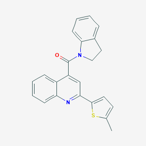 molecular formula C23H18N2OS B331616 2,3-dihydro-1H-indol-1-yl[2-(5-methylthiophen-2-yl)quinolin-4-yl]methanone 