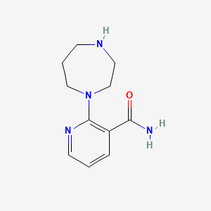 molecular formula C11H16N4O B3316737 2-(1,4-Diazepan-1-yl)pyridine-3-carboxamide CAS No. 954563-82-7
