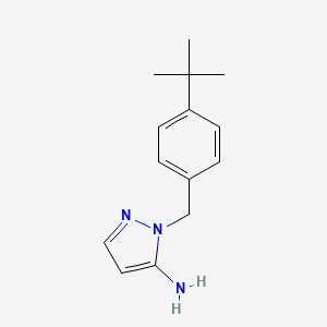 molecular formula C14H19N3 B3317172 1-[(4-叔丁基苯基)甲基]-1H-吡唑-5-胺 CAS No. 956780-06-6