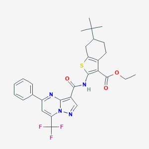 molecular formula C29H29F3N4O3S B331983 Ethyl 6-tert-butyl-2-({[5-phenyl-7-(trifluoromethyl)pyrazolo[1,5-a]pyrimidin-3-yl]carbonyl}amino)-4,5,6,7-tetrahydro-1-benzothiophene-3-carboxylate 