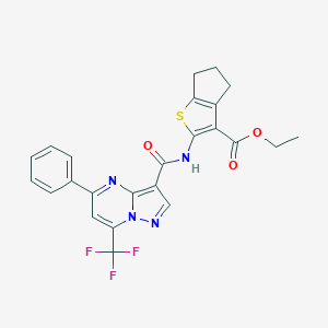 molecular formula C24H19F3N4O3S B332023 ethyl 2-({[5-phenyl-7-(trifluoromethyl)pyrazolo[1,5-a]pyrimidin-3-yl]carbonyl}amino)-5,6-dihydro-4H-cyclopenta[b]thiophene-3-carboxylate 