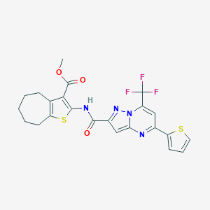 molecular formula C23H19F3N4O3S2 B332025 methyl 2-({[5-(2-thienyl)-7-(trifluoromethyl)pyrazolo[1,5-a]pyrimidin-2-yl]carbonyl}amino)-5,6,7,8-tetrahydro-4H-cyclohepta[b]thiophene-3-carboxylate 