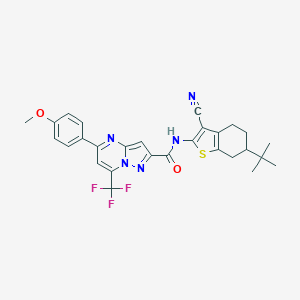 molecular formula C28H26F3N5O2S B332029 N-(6-tert-butyl-3-cyano-4,5,6,7-tetrahydro-1-benzothien-2-yl)-5-(4-methoxyphenyl)-7-(trifluoromethyl)pyrazolo[1,5-a]pyrimidine-2-carboxamide 
