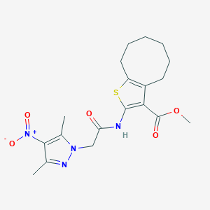 molecular formula C19H24N4O5S B332048 methyl 2-[({4-nitro-3,5-dimethyl-1H-pyrazol-1-yl}acetyl)amino]-4,5,6,7,8,9-hexahydrocycloocta[b]thiophene-3-carboxylate 