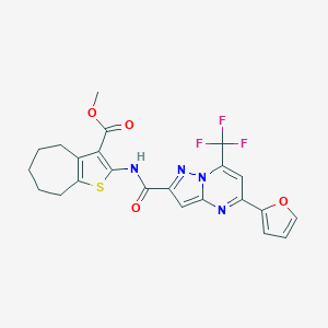 molecular formula C23H19F3N4O4S B332087 methyl 2-({[5-(2-furyl)-7-(trifluoromethyl)pyrazolo[1,5-a]pyrimidin-2-yl]carbonyl}amino)-5,6,7,8-tetrahydro-4H-cyclohepta[b]thiophene-3-carboxylate 