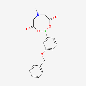 3-Benzyloxyphenylboronic acid MIDA ester