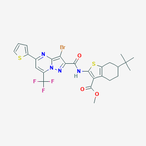 molecular formula C26H24BrF3N4O3S2 B332169 Methyl 2-({[3-bromo-5-(2-thienyl)-7-(trifluoromethyl)pyrazolo[1,5-a]pyrimidin-2-yl]carbonyl}amino)-6-tert-butyl-4,5,6,7-tetrahydro-1-benzothiophene-3-carboxylate 