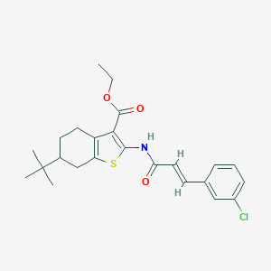 molecular formula C24H28ClNO3S B332331 Ethyl 6-tert-butyl-2-{[3-(3-chlorophenyl)acryloyl]amino}-4,5,6,7-tetrahydro-1-benzothiophene-3-carboxylate 