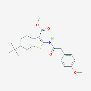 molecular formula C23H29NO4S B332370 Methyl 6-tert-butyl-2-{[(4-methoxyphenyl)acetyl]amino}-4,5,6,7-tetrahydro-1-benzothiophene-3-carboxylate 