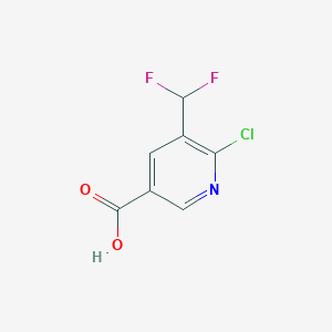 molecular formula C7H4ClF2NO2 B3324135 6-Chloro-5-difluoromethyl-nicotinic acid CAS No. 1805304-08-8