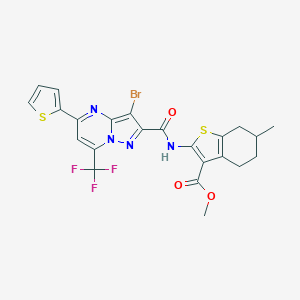 molecular formula C23H18BrF3N4O3S2 B332460 Methyl 2-({[3-bromo-5-(2-thienyl)-7-(trifluoromethyl)pyrazolo[1,5-a]pyrimidin-2-yl]carbonyl}amino)-6-methyl-4,5,6,7-tetrahydro-1-benzothiophene-3-carboxylate 