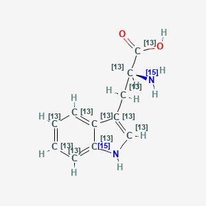 molecular formula C11H12N2O2 B3324986 L-色氨酸-13C11,15N2 CAS No. 202406-50-6