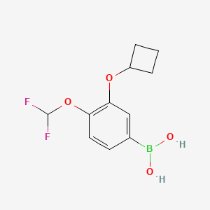 molecular formula C11H13BF2O4 B3326072 (3-Cyclobutoxy-4-(difluoromethoxy)phenyl)boronic acid CAS No. 2304634-55-5