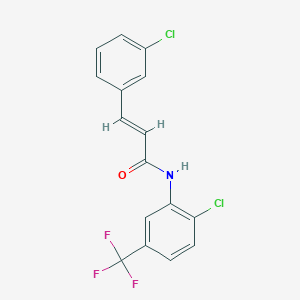 molecular formula C16H10Cl2F3NO B332674 3-(3-chlorophenyl)-N-[2-chloro-5-(trifluoromethyl)phenyl]acrylamide 