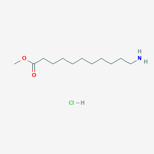 molecular formula C12H26ClNO2 B3326947 Methyl 11-aminoundecanoate hydrochloride CAS No. 29833-32-7